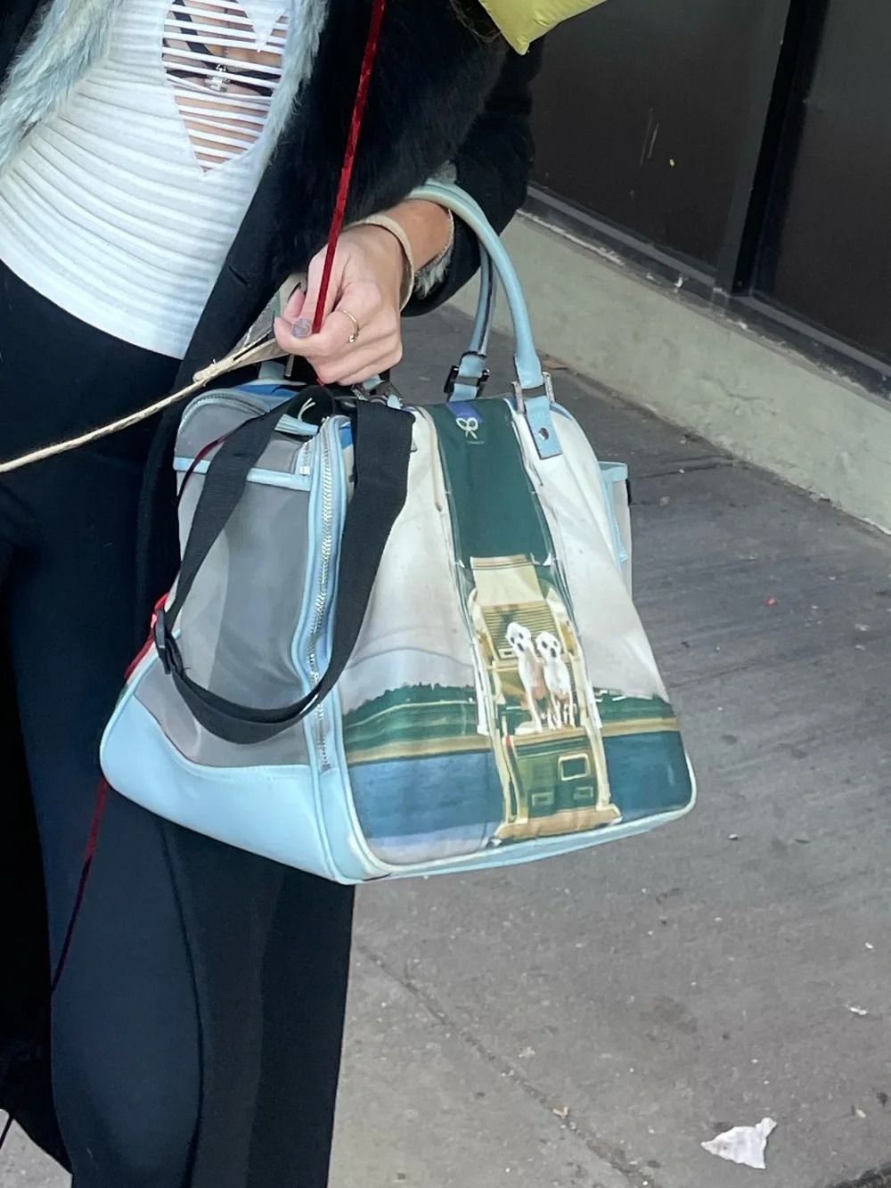 Designer Chihuahua flying private dog carrier